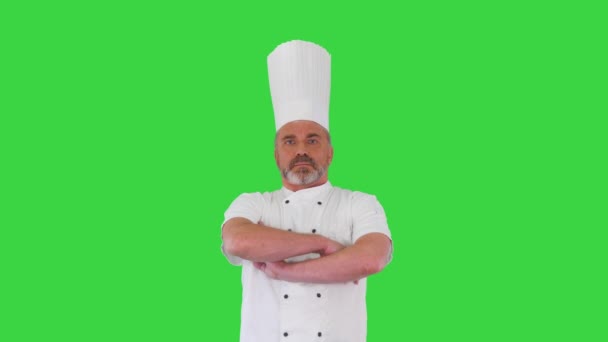 Σοβαρός μάγειρας με σταυρωμένα τα χέρια ψάχνει για κάμερα σε μια πράσινη οθόνη, Chroma κλειδί. — Αρχείο Βίντεο