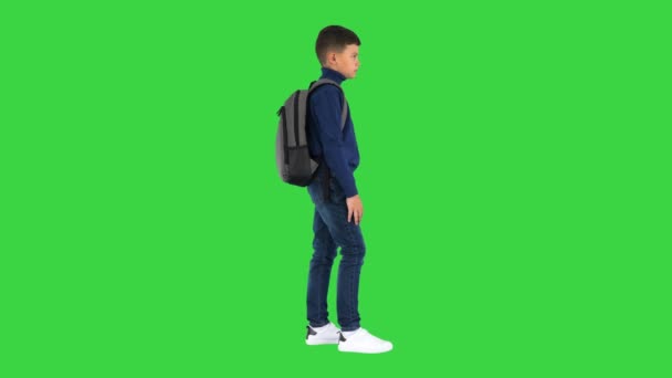 Ragazzo in polo collo in piedi con uno zaino su uno schermo verde, Chroma Key. — Video Stock