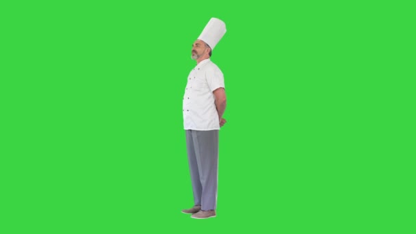 Zelfverzekerde Kaukasische chef staat niets te doen op een groen scherm, Chroma Key. — Stockvideo