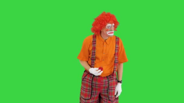 Клоун снимает свой красный нос и нюхает воздух на зеленом экране, Chroma Key. — стоковое видео