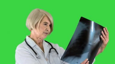 Kıdemli bayan doktor yeşil ekranda akciğerlerinin röntgenine bakıyor, Chroma Key.