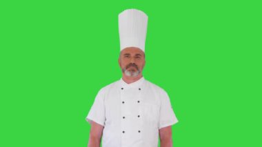 Şef şapkası ve üniformasıyla aşçı Yeşil Ekran 'da hiçbir şey yapmıyor, Chroma Key..