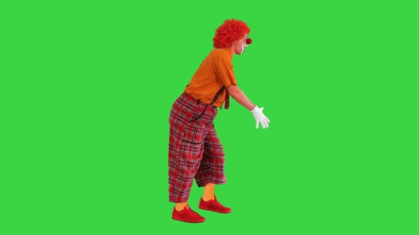 Glücklicher Clown, der auf lustige Weise auf einem Green Screen, Chroma Key, wandelt. — Stockvideo