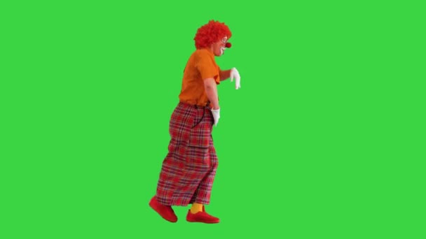 Clown promenader och dans riktigt cool på en grön skärm, Chroma Key. — Stockvideo