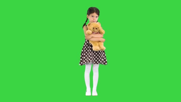 Liten flicka i prickig klänning kramar stor nalle tittar på kameran på en grön skärm, Chroma Key. — Stockvideo