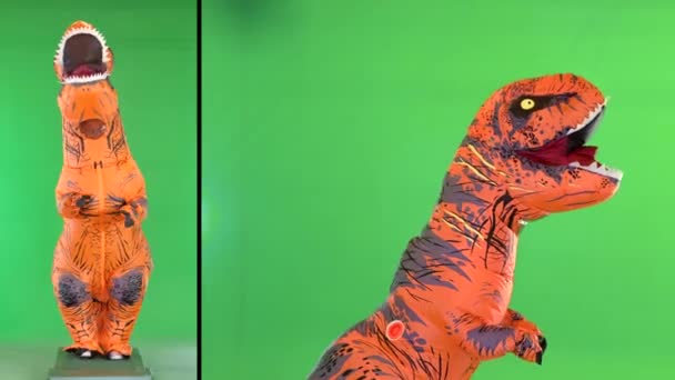 Hombre corriendo en un traje de tiranosaurio rex en una pantalla verde, Chroma Key. — Vídeos de Stock