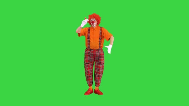 Clown with red nose blowing party horn on a Green Screen, Chroma Key. — Stock Video