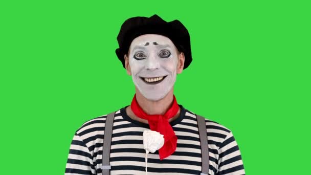 Mime give a paper rose to camera on a Green Screen, Chroma Key. — стокове відео