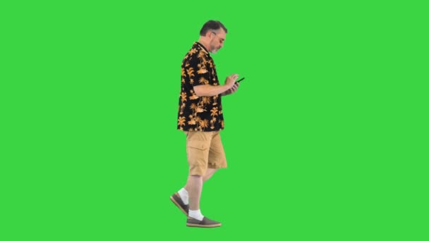 Szakállas vezető turista férfi séta és okostelefon használata a zöld képernyőn, Chroma Key. — Stock videók