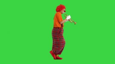 Yeşil Ekran 'da trompet çalan yürüyen palyaço, Chroma Key.