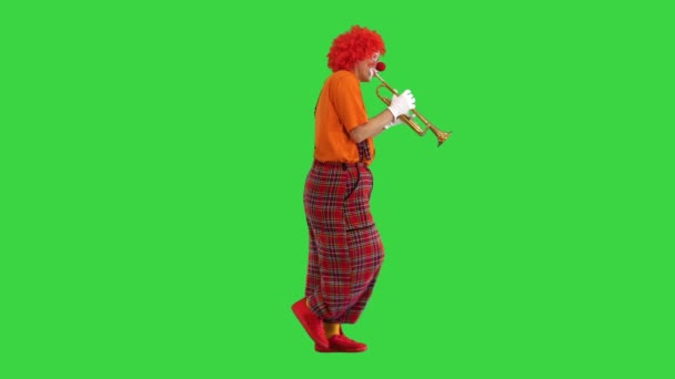 Payaso caminando tocando la trompeta en una pantalla verde, Chroma Key. — Vídeo de stock