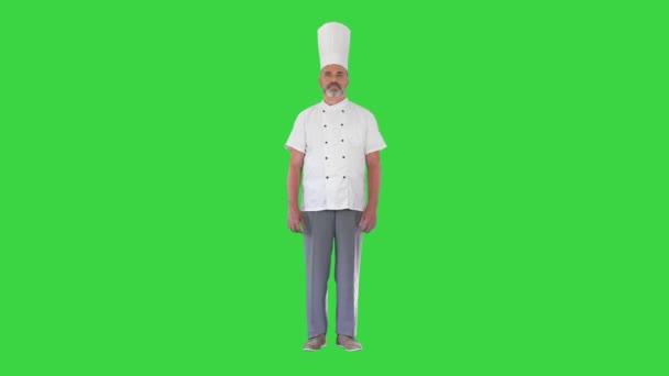 Cuisiner en chapeau de chefs et uniforme debout ne faisant rien sur un écran vert, Chroma Key. — Video