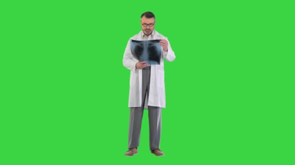 Laboratuvar önlüğü giyen doktor yeşil ekrandaki akciğerlerin röntgen görüntülerini analiz ediyor.. — Stok video