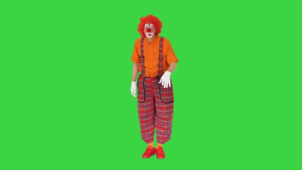 Acteur verkleed als een clown op zoek naar een manier om te handelen in een grappige manier op een groen scherm, Chroma Key. — Stockvideo