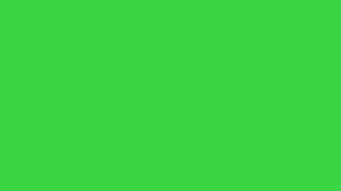 Yakışıklı iş adamı yeşil ekranda yürüyor, Chroma Key.