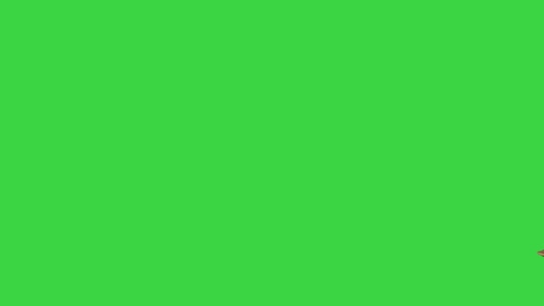 Pais felizes com sua filha de mãos dadas e andando em uma tela verde, Chroma Key. — Vídeo de Stock
