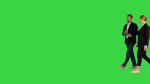 Dois parceiros de negócios andando usando guia e conversando uns com os outros em uma tela verde, Chroma Key. — Vídeo de Stock