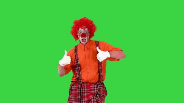 Joyeux clown montrer pouces levés tout en marchant sur un écran vert, Chroma Key. — Video