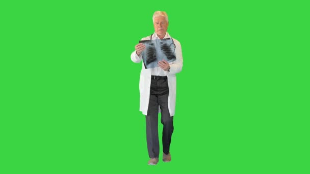 先生X線を見て、緑の画面、クロマキーの上を歩く. — ストック動画