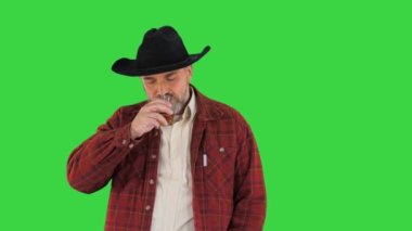 Sakallı kovboy şapkalı adam yeşil ekranda pahalı viski içiyor, Chroma Key..