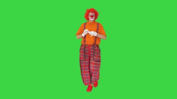 Plachý klaun myšlení a chůze na zelené obrazovce, Chroma klíč. — Stock video