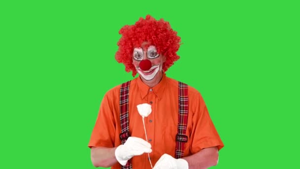Drôle de clown tenant une fleur de rose de papier et marchant sur un écran vert, Chroma Key. — Video