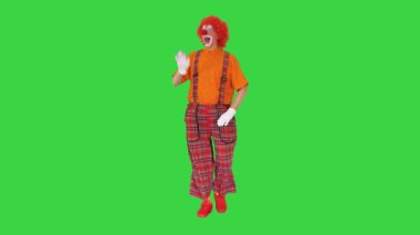 Kırmızı peruklu palyaço yürüyor ve yeşil ekrandaki herkesi selamlıyor, Chroma Key.
