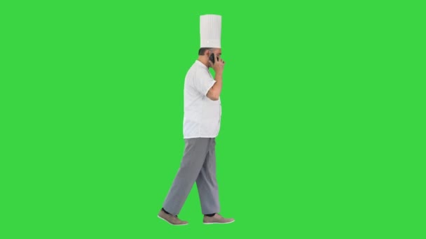 Бородатый человек повар ходьба и использование мобильного телефона на зеленом экране, Chroma Key. — стоковое видео