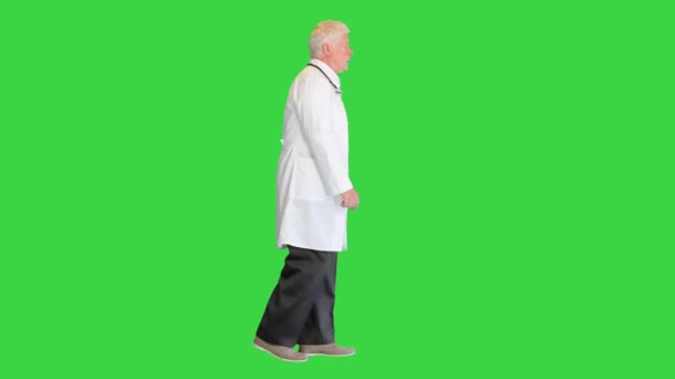 Médico senior con estetoscopio caminando sobre una pantalla verde, Chroma Key. — Vídeos de Stock