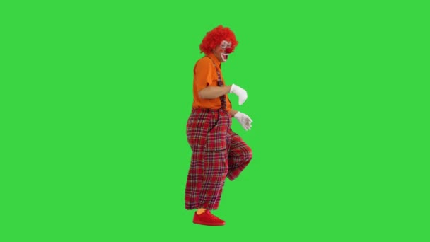 Clown mit roter Perücke läuft und tanzt auf lustige Weise auf einem Green Screen, Chroma Key. — Stockvideo