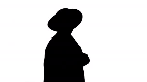 Palto giyen güzel Afrikalı Amerikalı moda kızı ve yürürken telefonunda mesaj atan siyah şapkalı, Alpha Channel. — Stok video