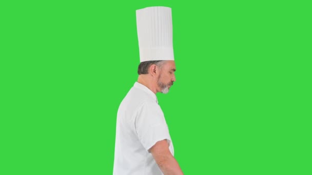 Chef senior con barba caminando sobre una pantalla verde, Chroma Key. — Vídeo de stock