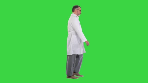 Médico maduro andando isolado em uma tela verde, Chroma Key. — Vídeo de Stock