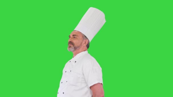 Pewny siebie biały kucharz stojący nic nie robiąc na zielonym ekranie, Chroma Key. — Wideo stockowe