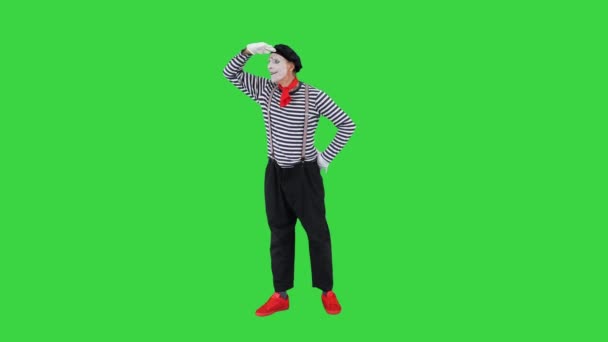 Man dressed like mime looking far away on a Green Screen, Chroma Key. — Stock Video