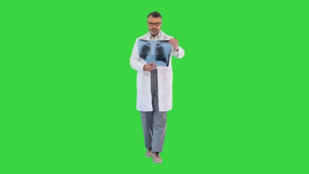 Professioneller Arzt überprüft ein Röntgenbild des Patienten beim Gehen auf einem Green Screen, Chroma Key. — Stockvideo