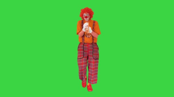 Spaziergänger Clown spielt Trompete auf einem Green Screen, Chroma Key. — Stockvideo