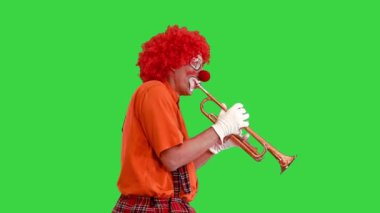 Yeşil Ekran 'da trompet çalan yürüyen palyaço, Chroma Key.