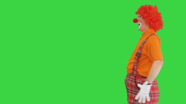 Clown spaziert auf lustige Weise auf einem Green Screen, Chroma Key. — Stockvideo