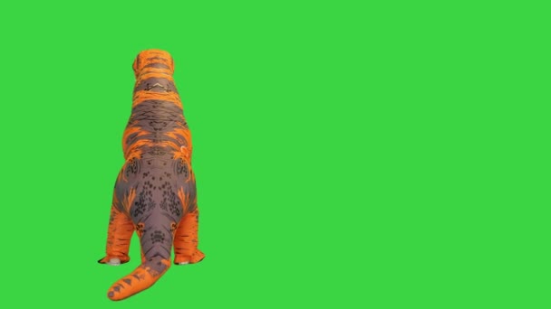 Ein fröhliches und lustiges Dinosaurierkostüm, das auf einem Green Screen tanzt, Chroma Key. — Stockvideo