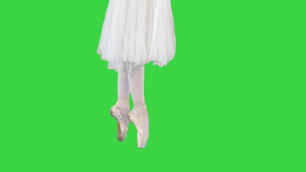 Balerina w romantycznej tutu spacery na punkt na zielonym ekranie, Chroma Key. — Wideo stockowe