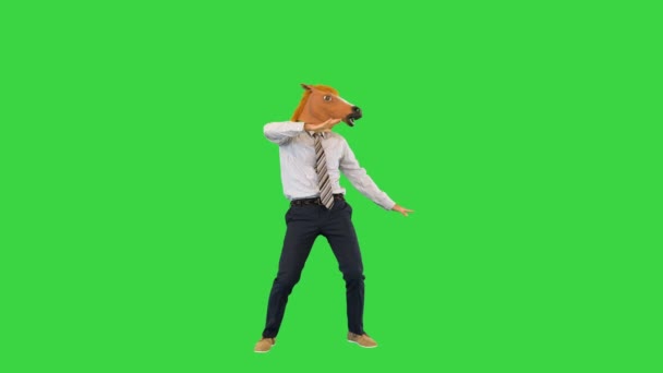 Forretning mand i en hestemaske danse på en grøn skærm, Chroma Key. – Stock-video