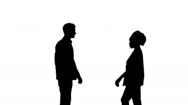 シルエットビジネス服を着た若い白人男性と若いアフリカ系アメリカ人女性が握手 — ストック動画