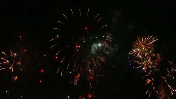 Fuegos artificiales en el cielo nocturno — Vídeo de stock