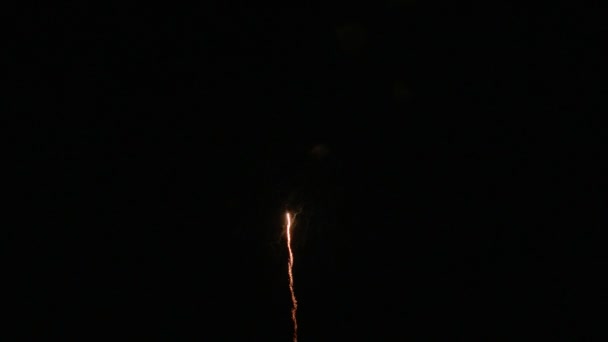 Prachtige Japanse vuurwerk in de nachtelijke hemel — Stockvideo