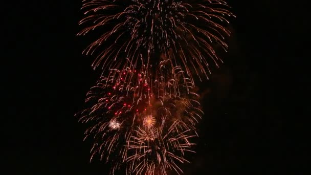 Schönes japanisches Feuerwerk am Nachthimmel — Stockvideo