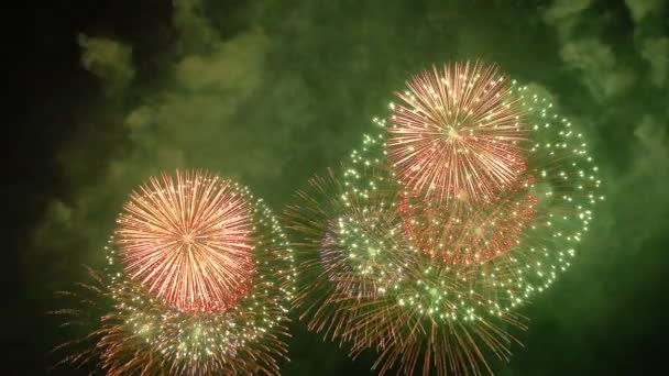 beaux feux d'artifice japonais dans le ciel nocturne 