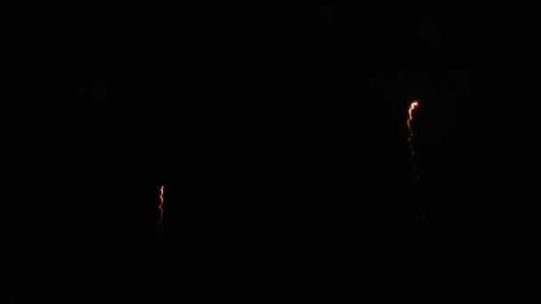 beaux feux d'artifice japonais dans le ciel nocturne 