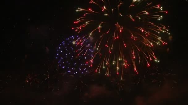 Hermosos fuegos artificiales japoneses en el cielo nocturno — Vídeo de stock