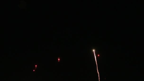 Belos fogos de artifício japoneses no céu noturno — Vídeo de Stock